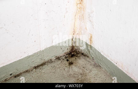 Oxidiert und verrostet Kalzium- und Schimmel- und Mehltaupilzen Einlagen von Wasserschäden in einem konkreten Keller Zimmer Stockfoto
