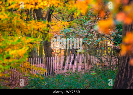 Holz- primitiven Zaun in einem Park im Herbst Stockfoto