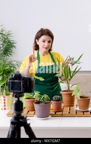Weibliche blogger erklärt Zimmerpflanzen wachsen Stockfoto