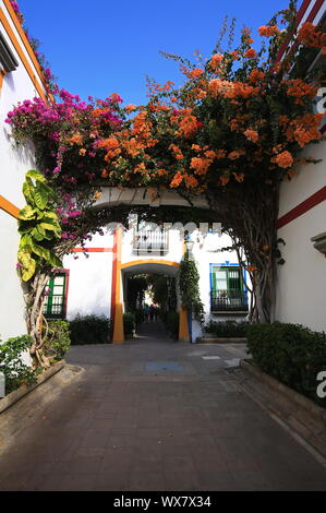 Gran Canaria Spanien Stockfoto