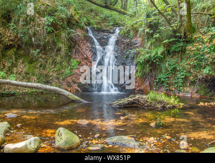 Das Wasser eines kleinen Wasserfalls bildet einen Teich im Wald, schöne Landschaft Stockfoto