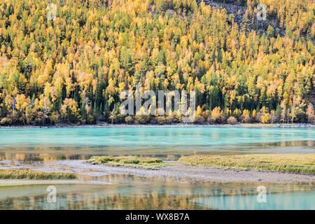 Herbst Berge Wald und Fluss in kanas Stockfoto