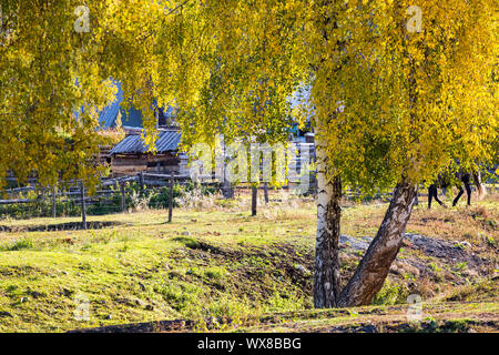 Xinjiang baihaba Dörfer im Herbst Stockfoto