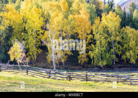 Xinjiang baihaba Dörfer im Herbst Stockfoto