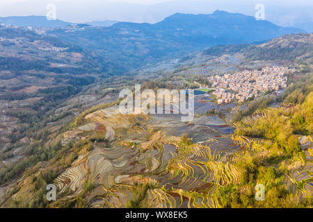 Reisterrassen Felder in hohen Berg. Stockfoto