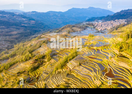 Schönen terassenförmig angelegten Feld Landschaft in der Dämmerung Stockfoto