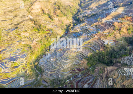 Luftaufnahme von terrassierten Feldern in der Dämmerung Stockfoto