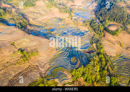 Schön terrassierten Feldern Landschaft Stockfoto