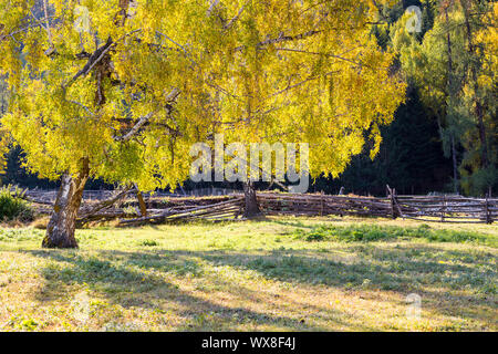 Xinjiang baihaba Dörfer im Herbst Stockfoto