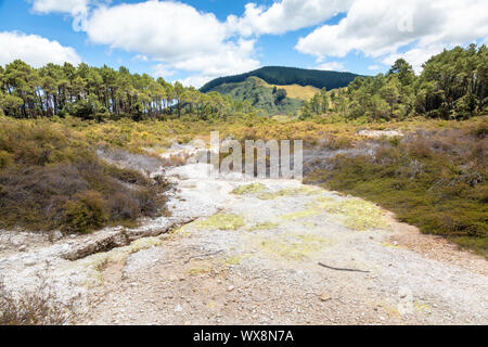 Geothermische Aktivität Rotorua in Neuseeland Stockfoto