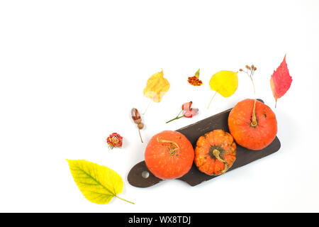 Kürbisse und getrockneten Blätter auf weißem Hintergrund. Herbst, Herbst, Stockfoto