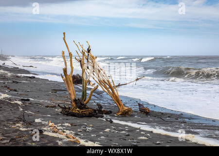 Jade Strand Hokitika, Neuseeland Stockfoto