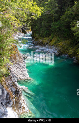 Haast River Landsborough Tal Neuseeland Stockfoto