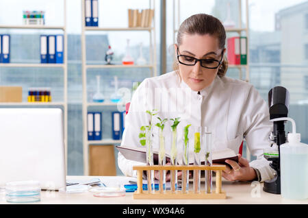 Weibliche Biotechnologie Wissenschaftler Chemiker im Labor arbeiten Stockfoto