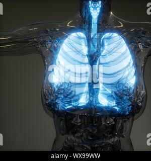 Die menschliche Lunge Radiologie Prüfung Stockfoto
