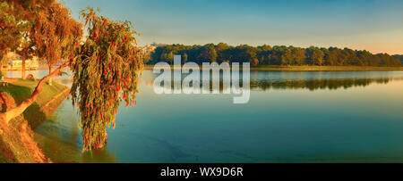 Sonnenaufgang über Xuan Huong See, Dalat, Vietnam. Panorama Stockfoto