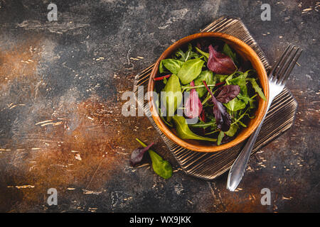 Frischer Salat Mischung aus Baby Spinat, Rucola Blätter und Mangold Stockfoto