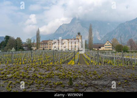 Maienfeld GR/Schweiz - April 13, 2019: historische Schloss Salenegg im idyllischen Schweizer Dorf Stockfoto