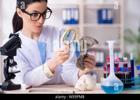 Junge weibliche Archäologe im Labor arbeiten Stockfoto