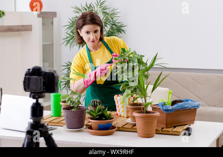Weibliche blogger erklärt Zimmerpflanzen wachsen Stockfoto