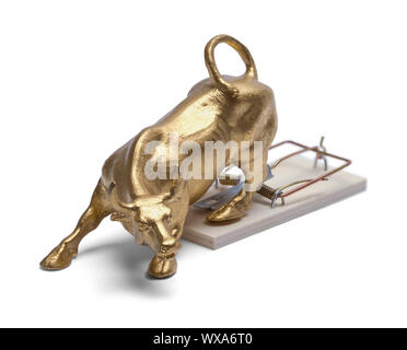 Messing Bull auf Trap isoliert auf weißem Hintergrund. Stockfoto