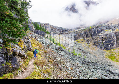 Wanderer Besteigung des Opabin Trail am Lake O'Hara in den kanadischen Rockies von Yoho Nationalpark wie Wolken auf Shaffer Berg im Abstieg backgrou Stockfoto