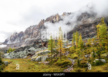 Schwere Wolken steigen auf Mount Shaffer am Lake O'Hara als aus dem Opabin Trail in den kanadischen Rockies von Yoho National Park in British Columbia. Stockfoto