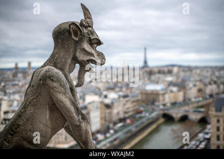 Wasserspeier auf die Kathedrale Notre Dame, Paris, Frankreich. Notre Dame - Paris, Frankreich Stockfoto