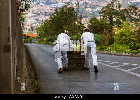 Rodelbahn Mitfahrer auf Schlitten in Monte - Funchal Madeira Portugal Stockfoto