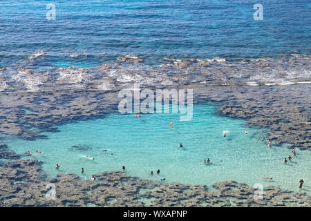 Schnorcheln in der Hanauma Bay Stockfoto