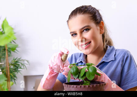 Junge weibliche Gärtner mit Pflanzen in Innenräumen Stockfoto