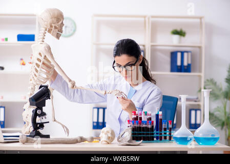 Junge weibliche Archäologe im Labor arbeiten Stockfoto