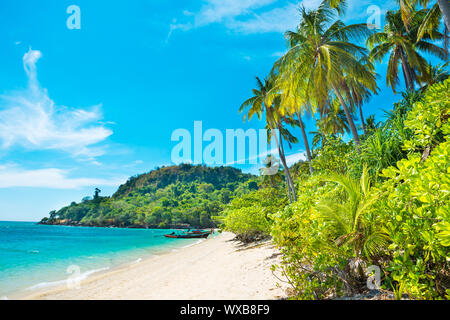 Strand bei tropische Insel mit Palmen Stockfoto