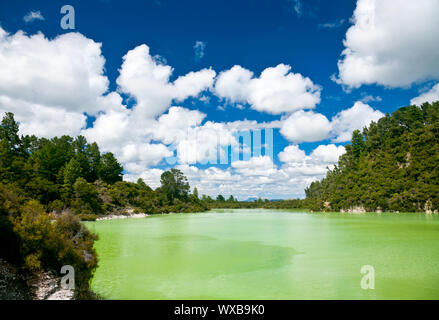 Das grüne Wasser des Lake Ngakoro im Wai-O-Tapu geothermal Bereich in Neuseeland Stockfoto