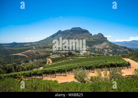 Die schöne Landschaft der Cape Winelands, Weinbaugebiet in Südafrika Stockfoto