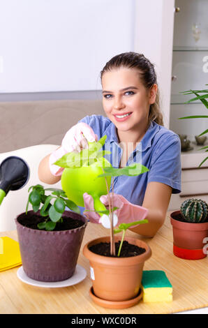 Junge weibliche Gärtner mit Pflanzen in Innenräumen Stockfoto