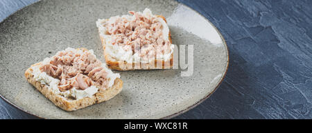 Lecker Thunfisch Sandwich, serviert mit Radieschen und Gurken Stockfoto