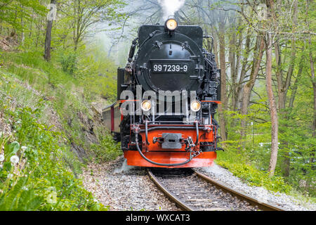 Eisenbahn Romantik im Selketal Harzer Schmalspurbahnen im Harz Stockfoto