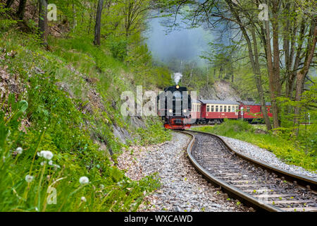 Eisenbahn Romantik im Selketal Harzer Schmalspurbahnen im Harz Stockfoto