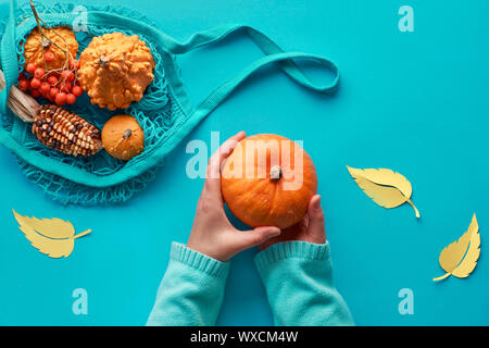 Herbst flach mit weiblichen Händen in blauen Pullover und Türkis string Tasche mit orange Kürbisse. Ansicht von oben auf blau grün papier Hintergrund mit Dekoration Stockfoto