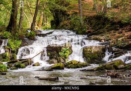 Selke Wasserfall im Harz Stockfoto