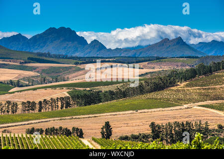 Die schöne Landschaft der Cape Winelands, Weinbaugebiet in Südafrika Stockfoto