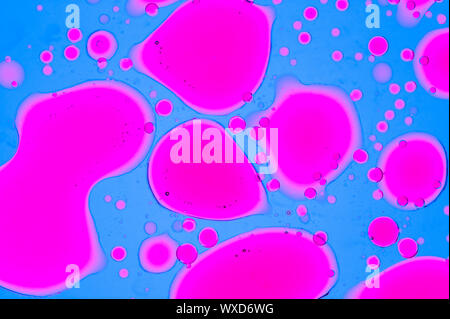 Bunte öl Tintenblasen und Tropfen. Abstrakte Vorlage gemischter Textur Hintergrund. Tapeten Muster. Stockfoto