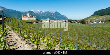 Aigle, VD/Schweiz - vom 31. Mai 2019: Panorama Querformat von Chablis Weinberge und Weinreben eine Stockfoto