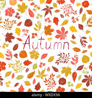 Blätter im Herbst. Blatt und natur blumen Symbole auf weißem Hintergrund mit Schriftzug im Herbst. Stock Vektor