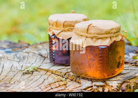 Stillleben mit Marmelade Löwenzahn und junge tannenzapfen Jam Stockfoto