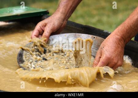 Ein gold panner Pfannen für Gold in Kalifornien. Stockfoto