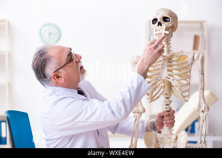 Alter männlicher Arzt mit Skelett Stockfoto