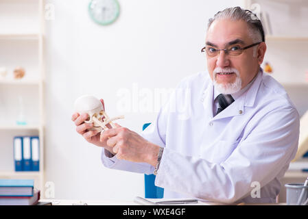 Alter männlicher Arzt mit Skelett Stockfoto