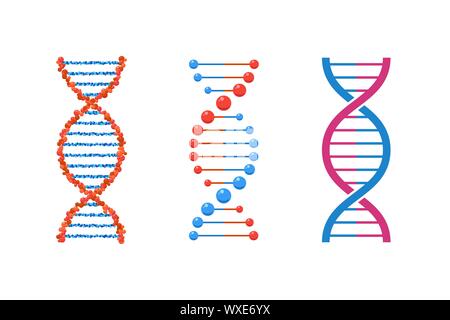 Dns-Spirale Sammlung isoliert. Vektor Desoxyribonukleinsäure eingestellt. Einfache moderne Mikrobiologische genetische Helix Elemente auf weißem Hintergrund Stock Vektor